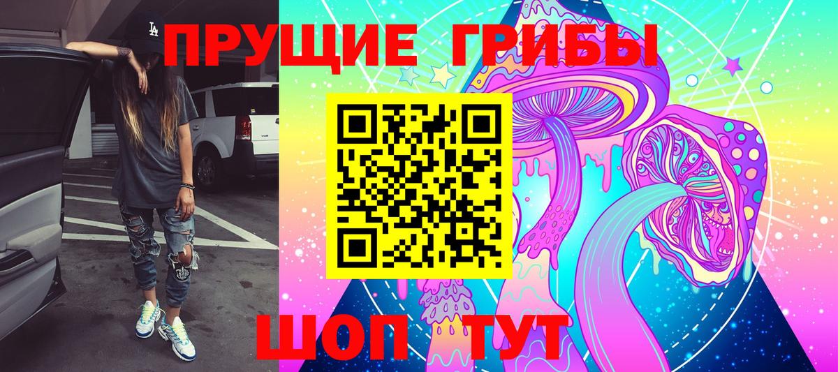 Галлюциногенные грибы Psilocybine cubensis  Вход с VPN  Донской 